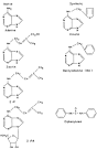 The Molecular Biology of Plant Cells