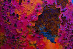License - via Daymix