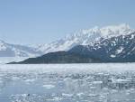File:Haenke Island, Disenchantment Bay, Alaska.jpg - Wikipedia ...