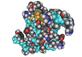 Hormone Improves Long-Term Recovery From Stroke 