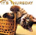 Thursday Picture 2