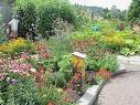 Create Your Own Butterfly Garden « Ryan Lawn &amp; Tree
