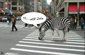 فقط براي خنده 1
