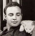 Famous men who love cats: