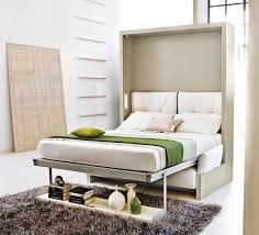 Green Cabinet And Transformable Murphy Bed Ideas #2475 | Custom ...