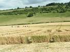 Crop circle and visitors at Fosbury - via Daymix