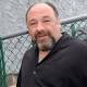 Gandolfini wanted to 'reconnect with Italian roots' - USA TODAY