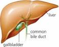 Gallbladder Symptoms