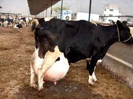 Andrea Rincón,topless infartante:“Mis tetas me dan de com