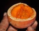 <b>Garcinia kola</b> Heckel Trusted
