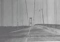 the Tacoma Narrows Bridge