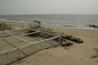 possible tropical storm - via Daymix