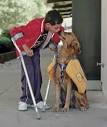 Assistance Dogs: Offering a New Sense of Freedom « Texas A&amp;M News ...
