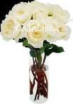 David Austin Gar
den Roses Pati ...