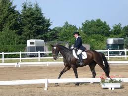 Anja Tarnowski (RFV Elbtalaue-Bleckede e.V.) 395 Pilar 40 682.00. Bezirksmeisterschaften Dressur Hitzacker Wietzetze 2008 Turnier Galopp. 9 Dressurprf. - dressurgalopp2