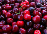 http://chambresdevenasque.files.wordpress.com/2008/05/cerises21.jpg
