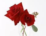 Rose Wallpaper 2699 - Valentine's Day - Festival
