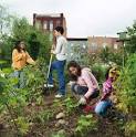 TLC Home "How to Start a Community Garden"