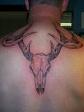 deer tattoos