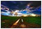 Inspiration By Mother Nature