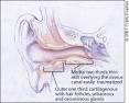 <b>Otitis Externa</b>: A Practical