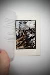 hozea ngoh - Singapore, Singapore - bidadari: the book