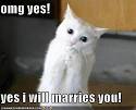 Re: Funny Pictures Competition