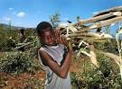 Cholera and Cooperation Play Into Haiti Reforestation