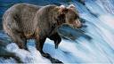 Alaska Cruise Vacations &amp; Alaskan Tours | Celebrity Cruises | Book ...