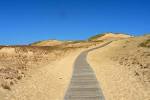File:Image-Lithuania Juodkrante sand dunes.jpg - Wikimedia Commons