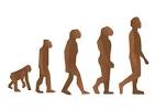Welcome To Sze Chek's Bloggie: Talking Bout Human Evolution