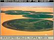 Kufra - LookLex Encyclopaedia