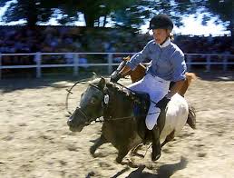 Maria Haugg (Societe Hippique Rurale) auf Ghost Springprüfung Klasse M Alexander Hufenstuhl (Süttenbacher RSG) auf AH Pikadeur (1. Abteilung)