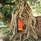 India Travel Guide: Grand Tour of Asia : Condé Nast Traveler