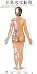 Acupuncteur acupuncture infos point d