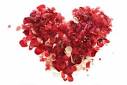 Valentine's Day