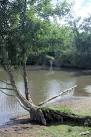 The bridge also marks the divide between Broad Water and Long Water. - via Daymix