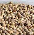 White Pepper | BigOven Food Glossary