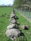 NS7986 : Barr Wood, boundary dyke. 3 km from Dunipace, Falkirk, - via Daymix