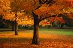Landscape 34 by ~darksithanakin on deviantART