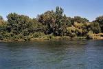 Calf island coastline at detroit river international wildlife refug royalty - via Daymix