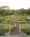 Vegetable Garden Guide: Vegetable Garden Care - Martha Stewart