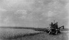 File:Agricultura in raionul Camenca.JPG - Wikipedia, the free ...