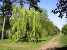 A public footpath enters Silk Wood, part of Westonbirt arboretum, - via Daymix
