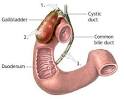 Gall Bladder Symptoms Women