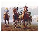Affirmed Alydar Belmont Photo