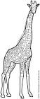 Giraffe coloring page