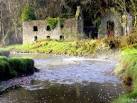 SN0407 : Cresswell Castle. near to Cresswell Quay, Pembrokeshire/Sir Benfro, - via Daymix