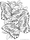 Flowers coloring page