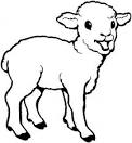 Lamb coloring page